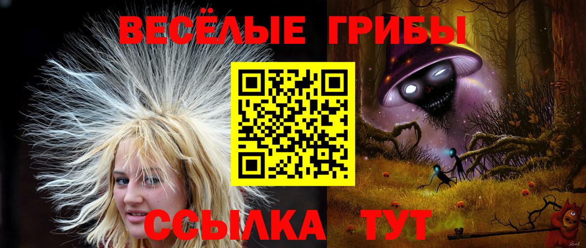 Долгопрудный  Галлюциногенные грибы мицелий  Галлюциногенные грибы Psilocybe  Вход с VPN 