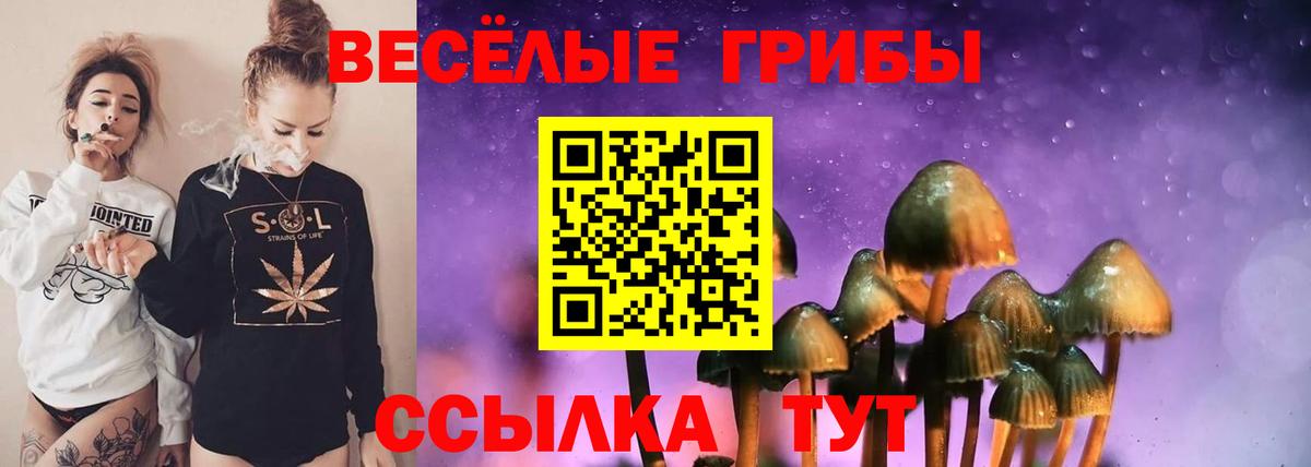 Псилоцибиновые грибы мицелий Долгопрудный